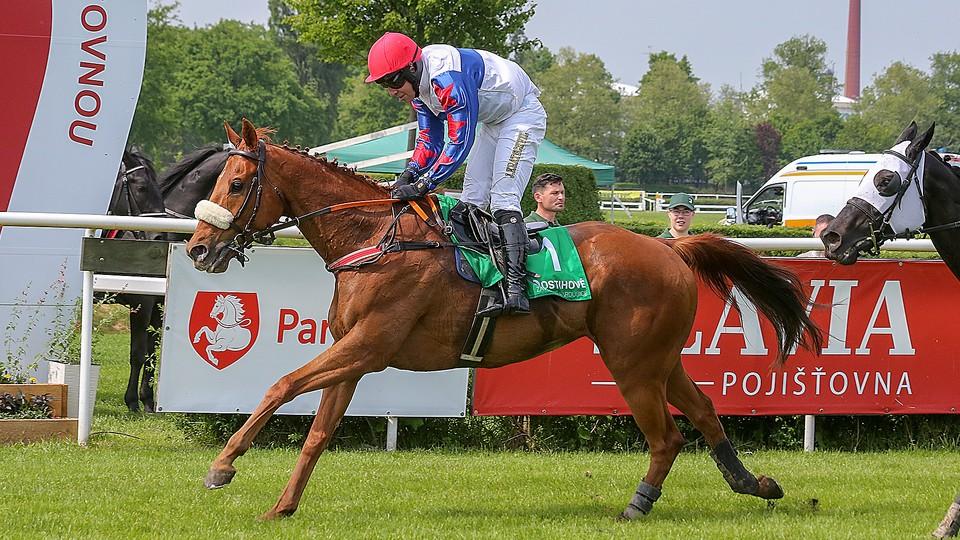 První kvalifikaci na Velkou pardubickou ovládl suverénní Chelmsford