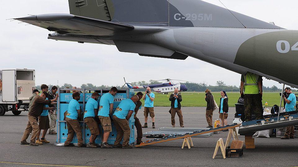 Do Kazachstánu odletěli tři koně Převalského. Jeden hřebec zůstal v Praze