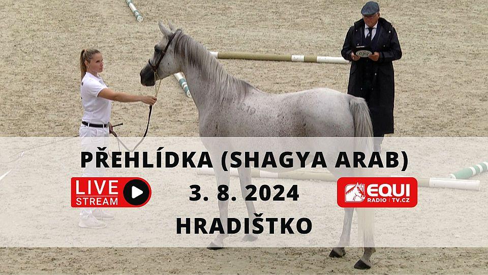 Živě: Sledujte XXXII. Národní přehlídku koní plemene Shagya Arab na EquiTV