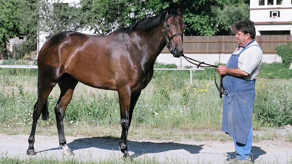 Odešel Jiří Svoboda. Nejlepšímu ošetřovateli poválečné Chuchle bylo 83 let
