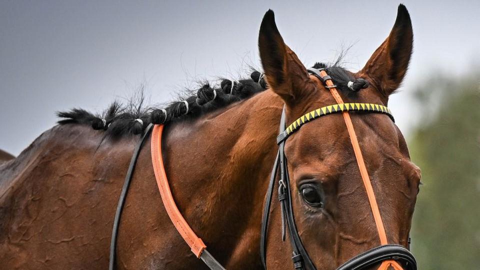 Záměna v Punchestownu: Dont Tell Jacka omylem zastoupil Centreofattention