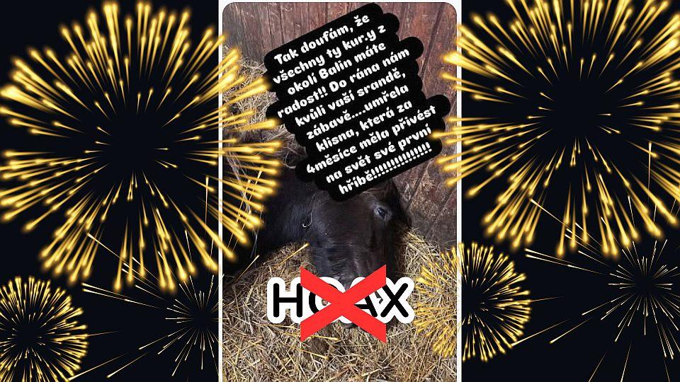 Sítěmi se šíří zpráva o úhynu březí klisny po ohňostroji. Nejspíš jde hoax