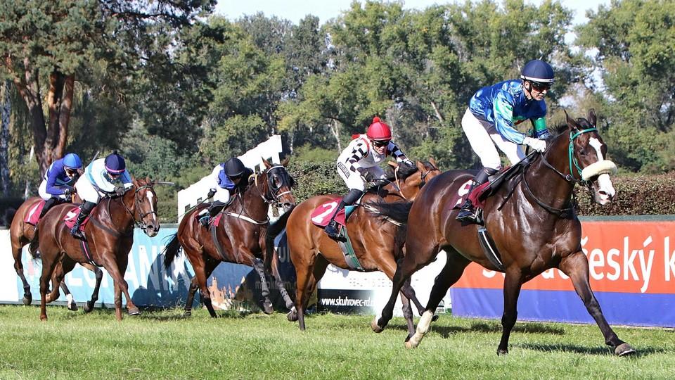 V Lysé bodovali Havelková i Zatloukal, obě steeplechase ovládl Dr. Charvát