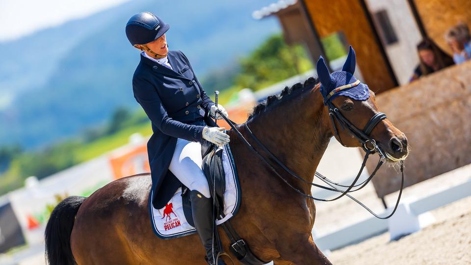 Další rozhodčí bude počítač? Umělá inteligence míří do hodnocení drezury