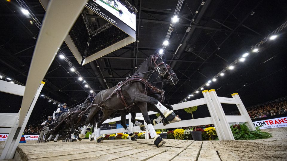 Dění v týdnu: Startuje World Cup čtyřspřeží s českou účastí a pokračuje GC
