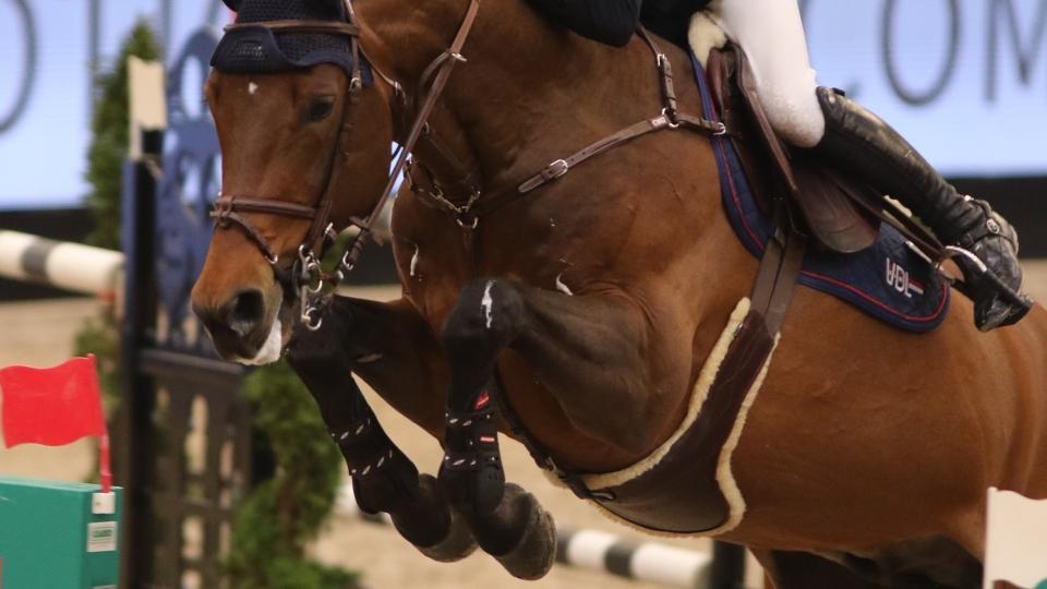 Vítězná Obora´s Chloe. Česká stopa i v sobotním vrcholu CSI5*-W Oslo