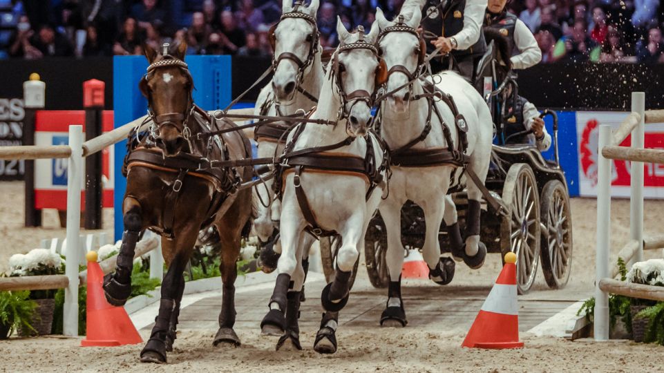 Druhé kolo SP čtyřspřeží ve Stockholmu. Úvod ovládl Michael Brauchle