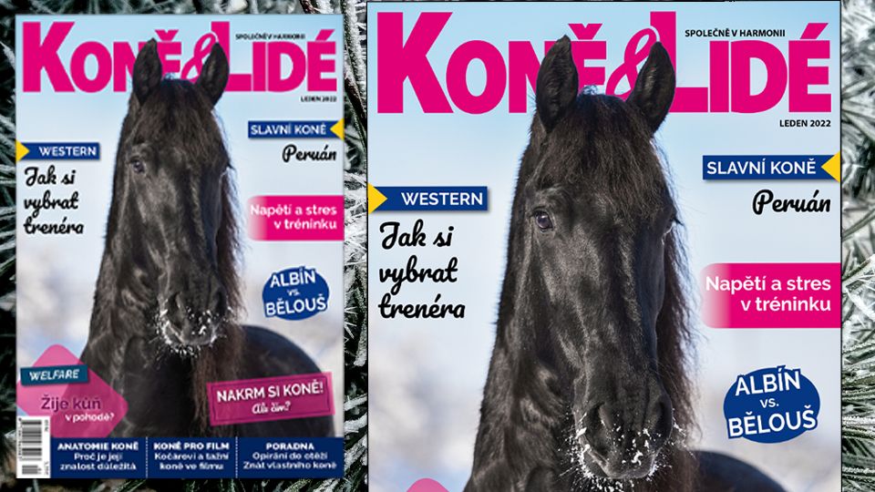 Koně a lidé 1/2022: Série o výcviku a sebepoznání. Pohodový život koní