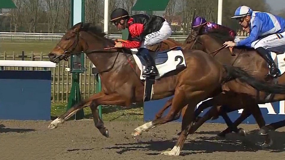 Třetí místo v Quinté+: Billabong Cat opět předvedl stíhací jízdu