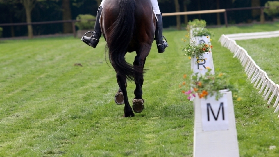 Matěj Sukdolák zahájil CCI2*-S v Kreuthu. Po drezuře je desátý