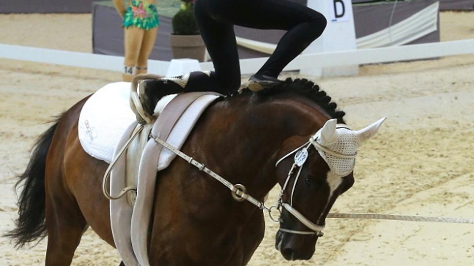 Pravidla voltiže 2022: Z dílny FEI vzešla pro aktuální rok řada úprav