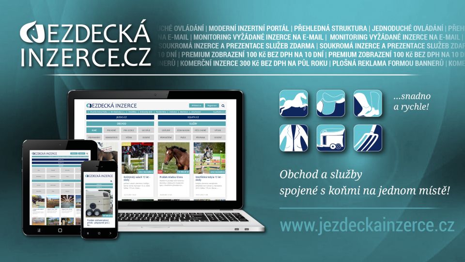 Jezdecká inzerce top10: To byly inzertní hity 16. týdne 2022
