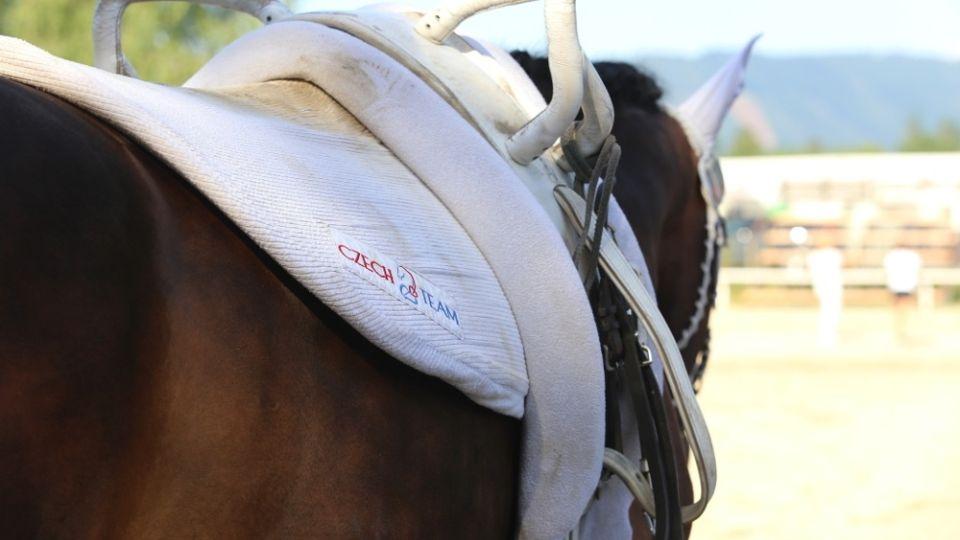 Vydařené CVI Šamorín. České voltižérky zapsaly řadu výsledků v top 3