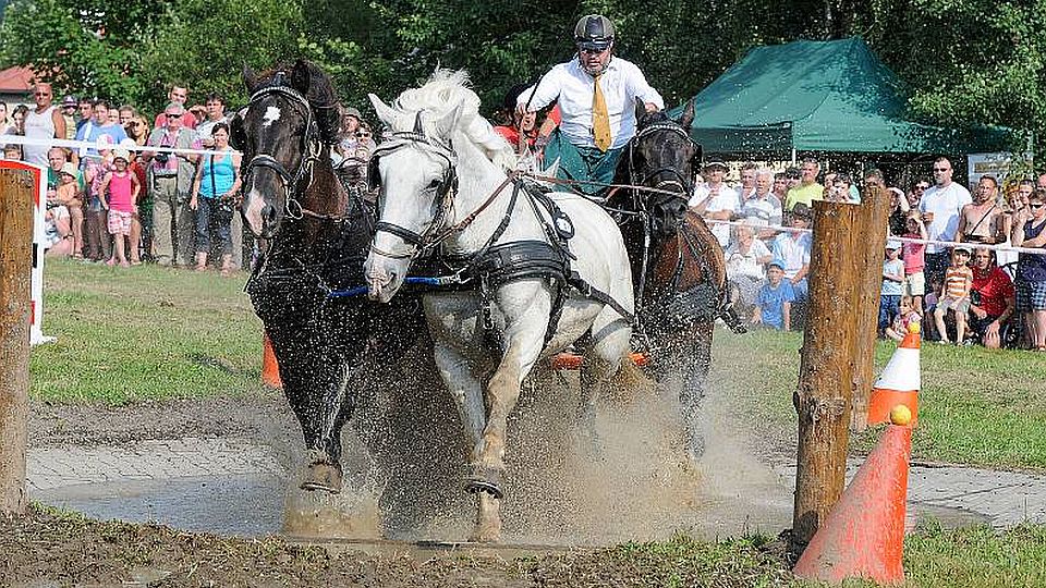 V Dolní Lomné se podesáté setkají vozatajové. Show i poník v tombole