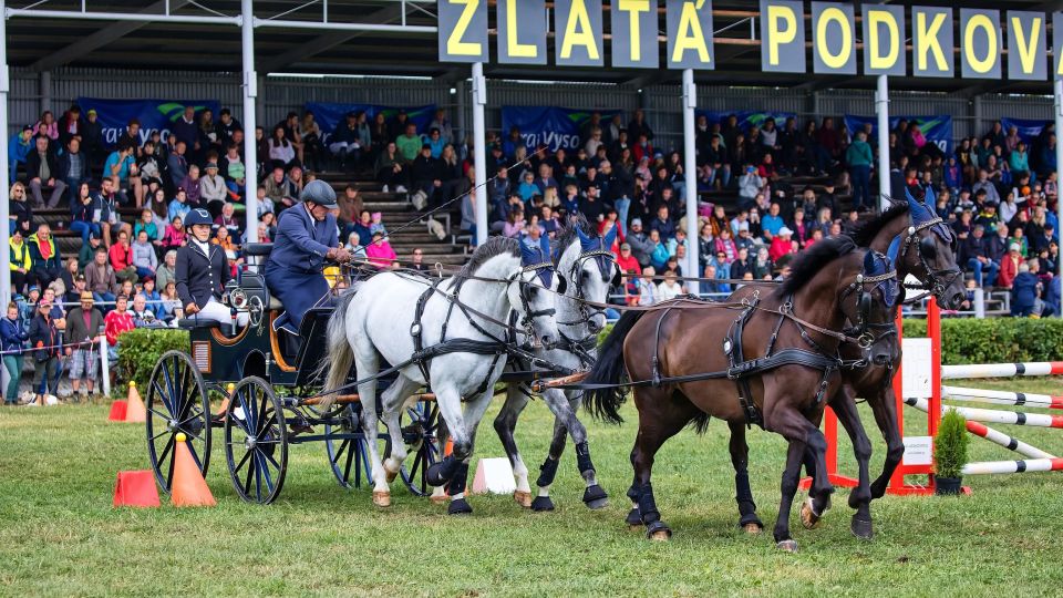 Finále Zlaté podkovy. Mistry opratí jsou Nesvačil, Drábek a Sedlinská