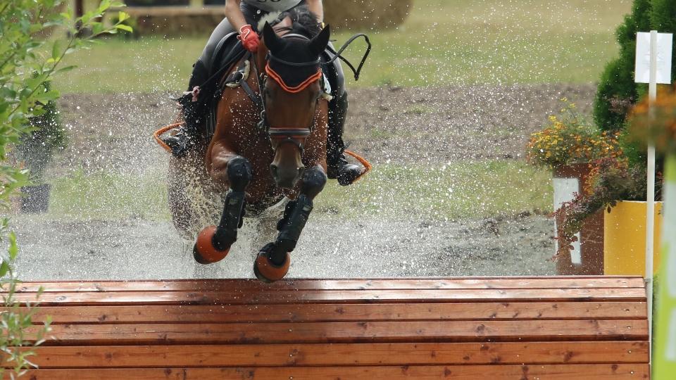 Petr Veselovský s Lanndisem dokončil soutěž CCI3* v Langenhagenu