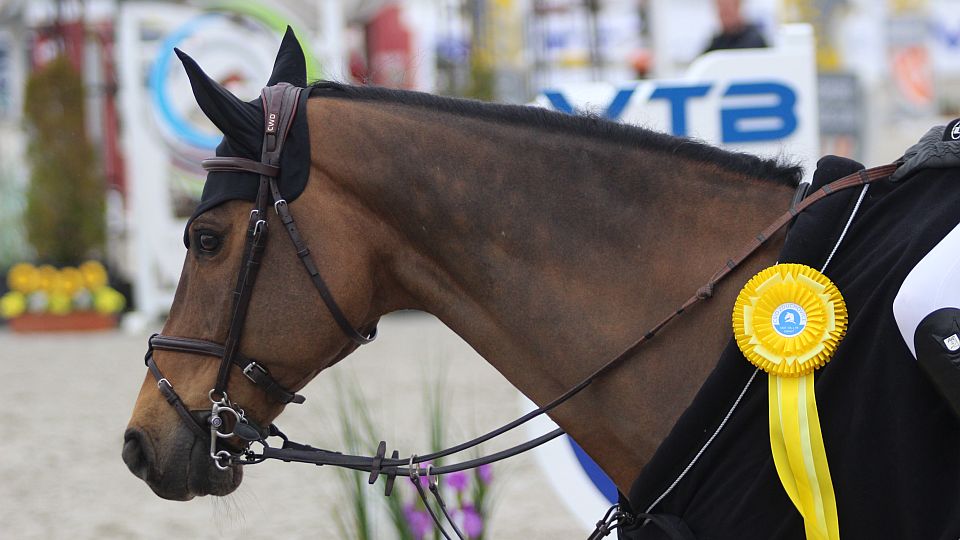 CSIO Zduchovice 2023 zahájeno: Pařenicová a Pichrtová byly druhé