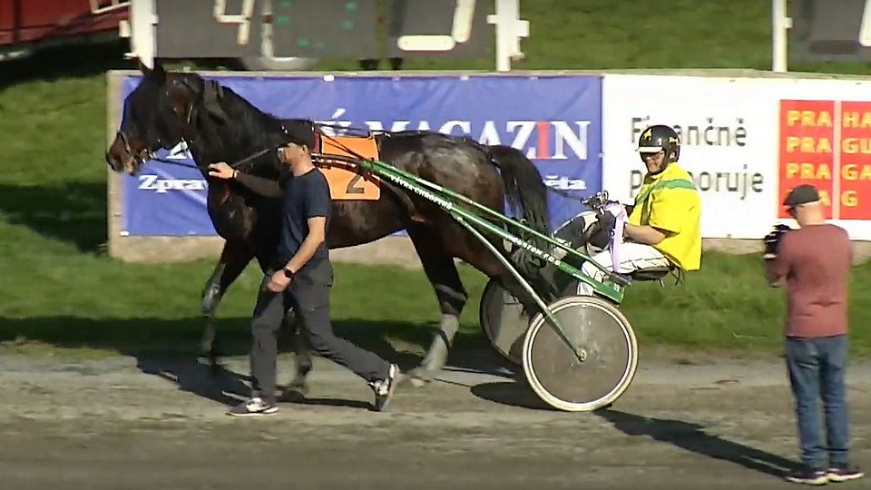 Pamino zpět na výsluní. V Chuchle Areně po roční pauze nenašel soupeře