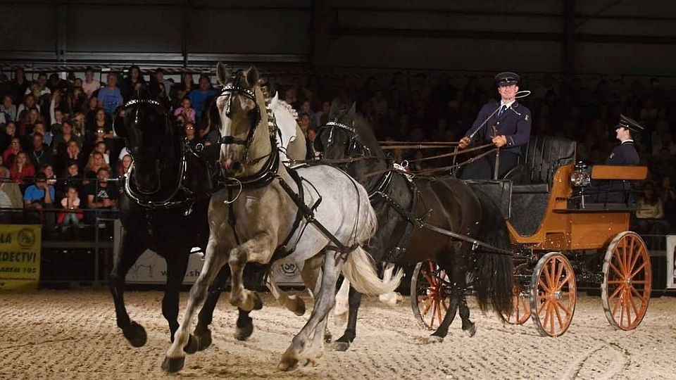 Výstav Kůň 2020 opět v září. Sedmadvacátý ročník nabídne také galashow
