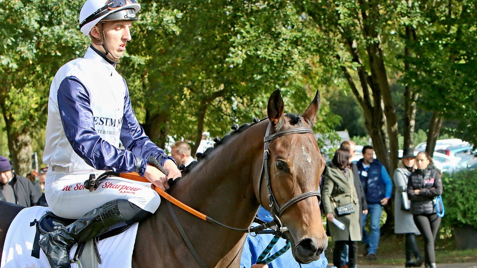 Westminster Love i s uvolněným sedlem druhá v Deauville, Prewitt pátý