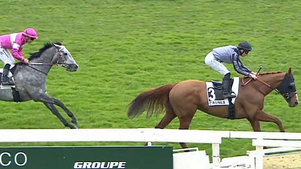 V Cagnes nejlépe Sun Project, Fine Anyway došly síly v oblouku