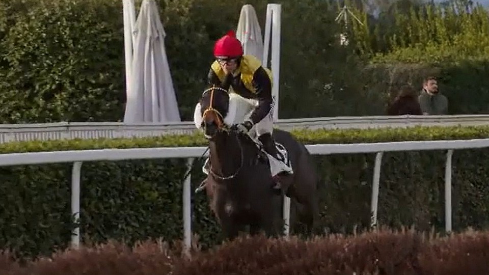 Dva české triumfy v Pise: Scuderia Aichner ovládla obě listed na proutkách