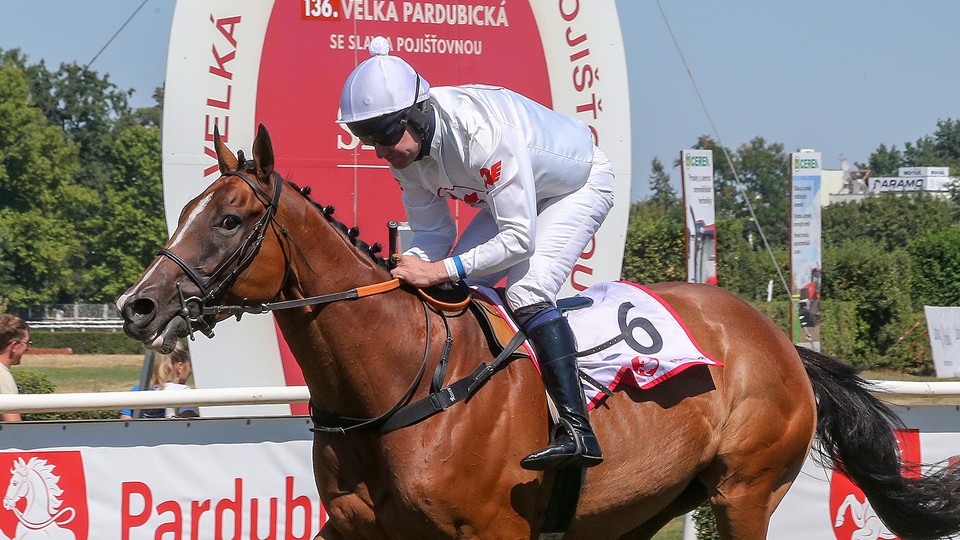 Sobotní Pardubice: Double Faltejska, irská hymna i Štohanzlův první triumf